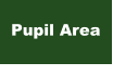 Pupil Area